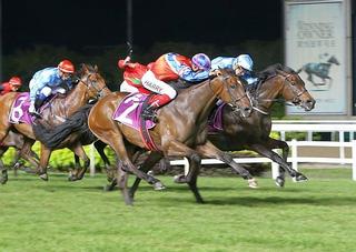 Ready to Run graduate claims first black-type victory. Photo: Singapore Turf Club. 